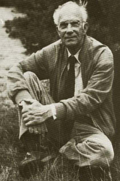 Jan Willem van den Berg