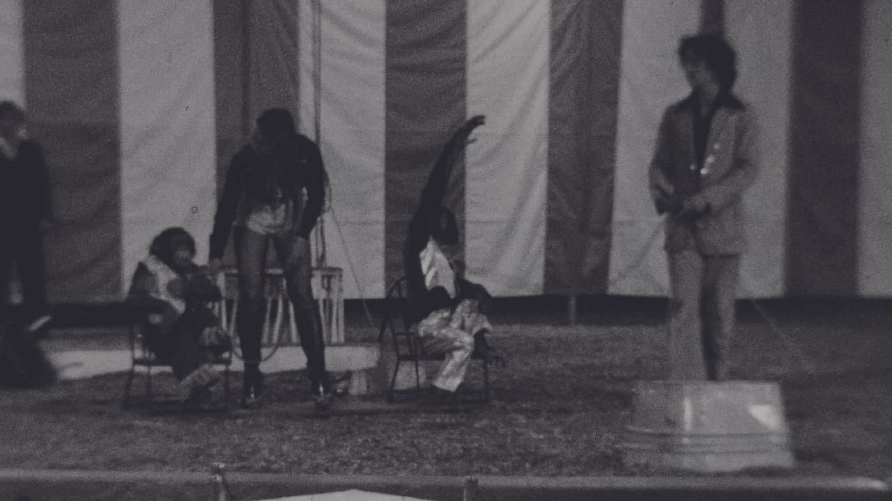 Circus