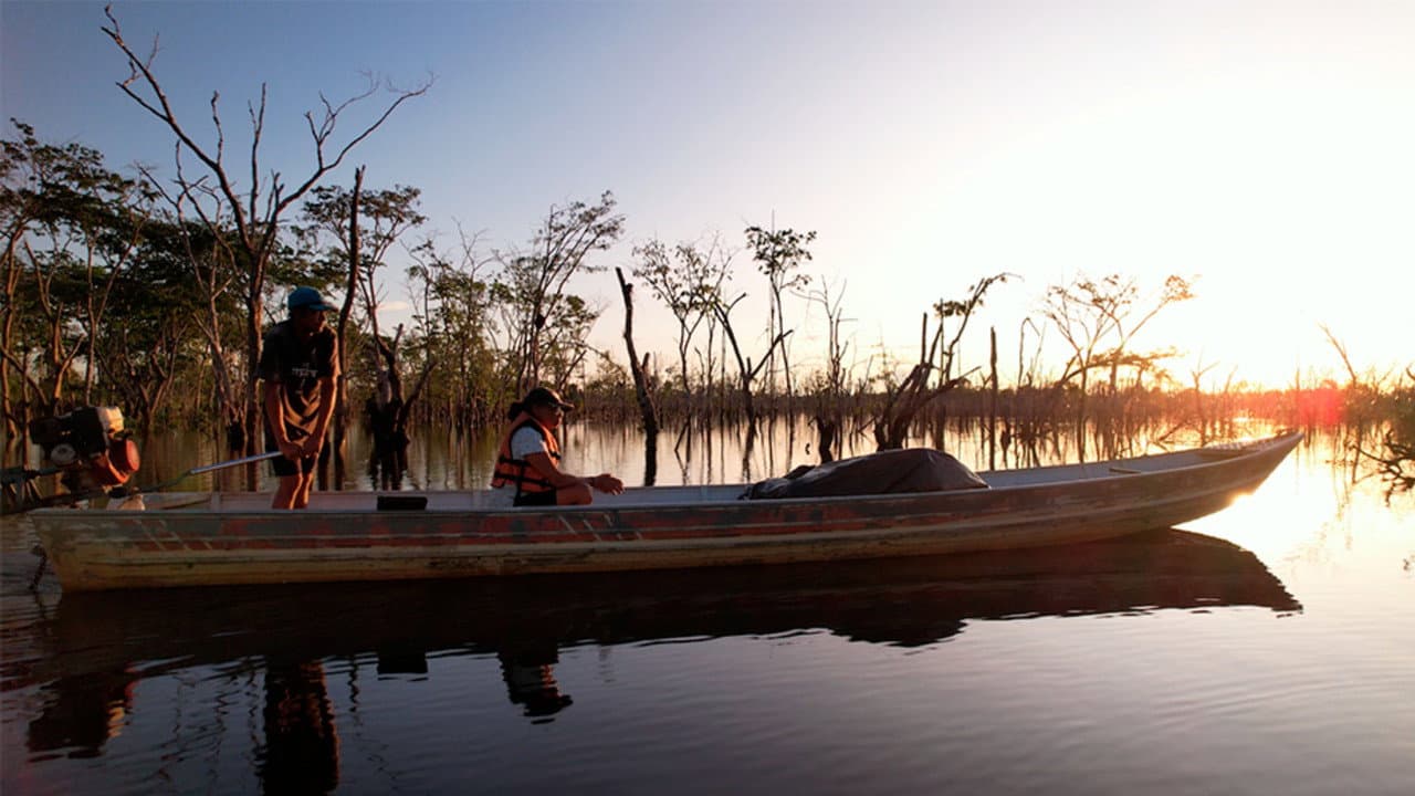 Xingu à margem