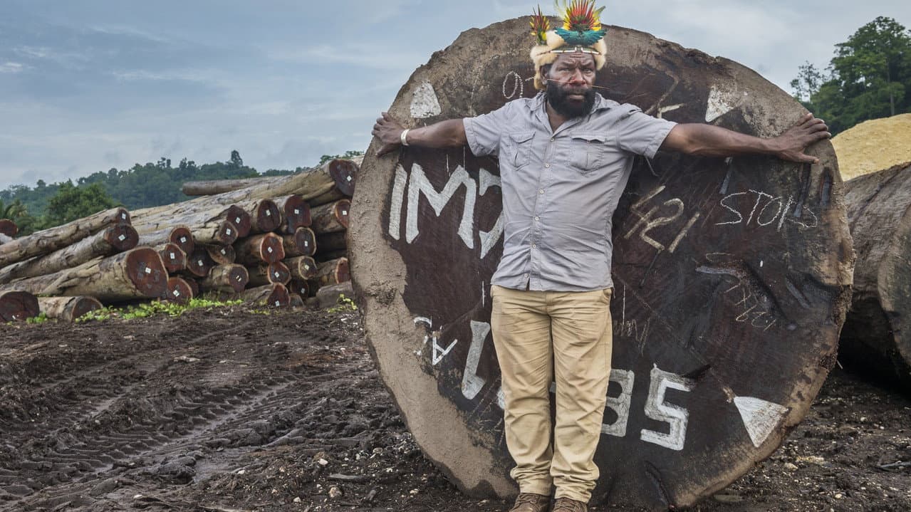 Mundiya Kepanga, the Voice of the Forest
