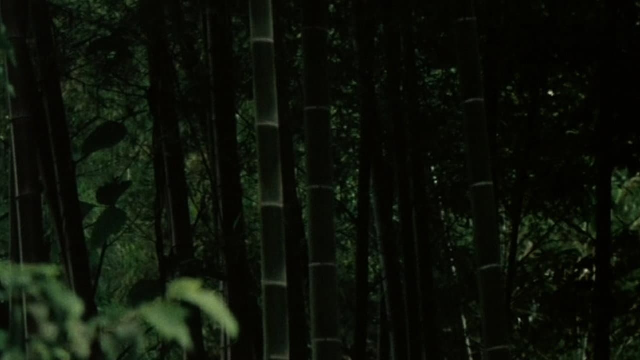 Young Pines