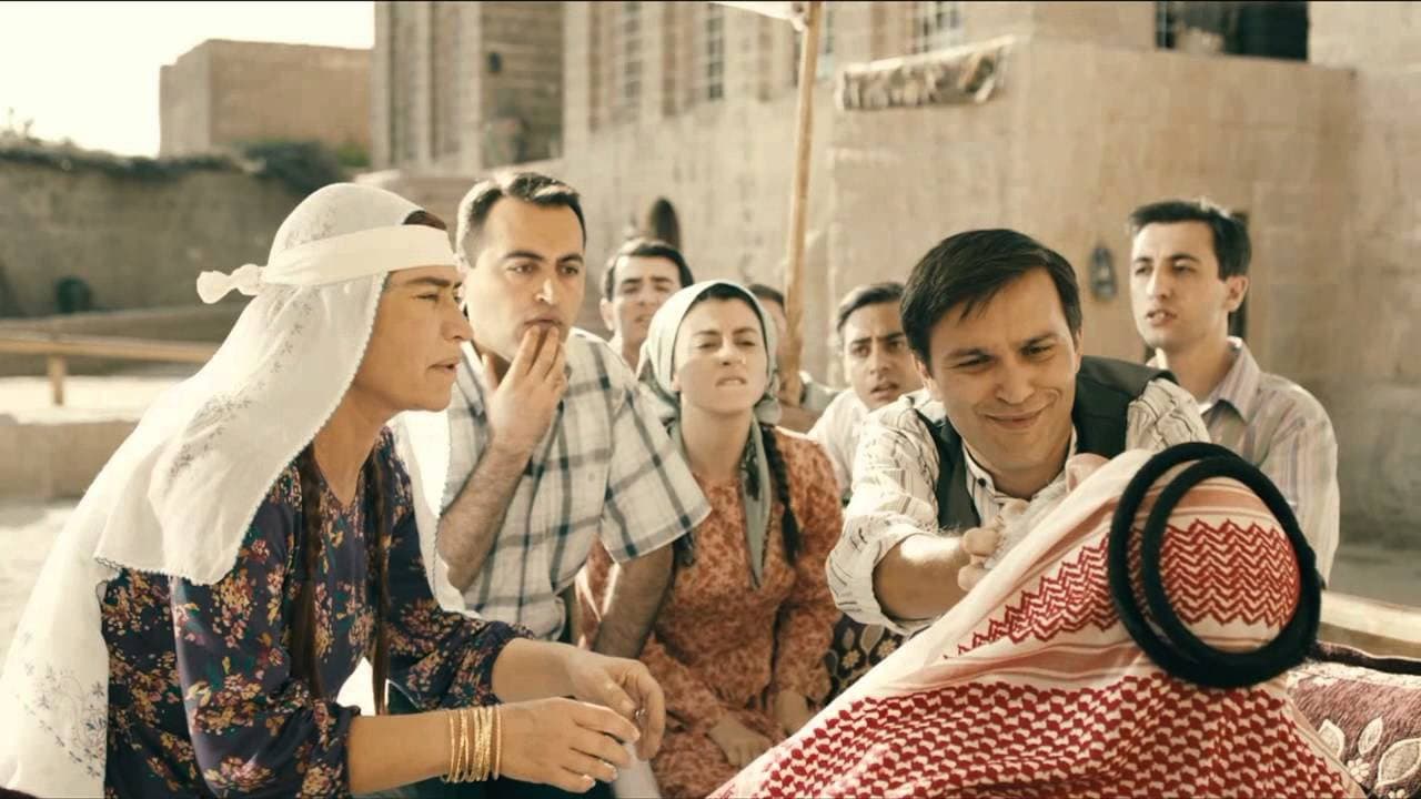 Hükümet Kadın [Seri]