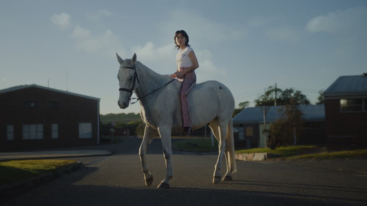 A Stable for Horses