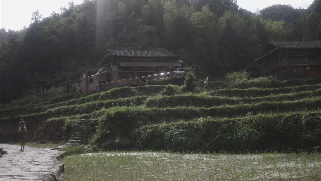 Tejedoras