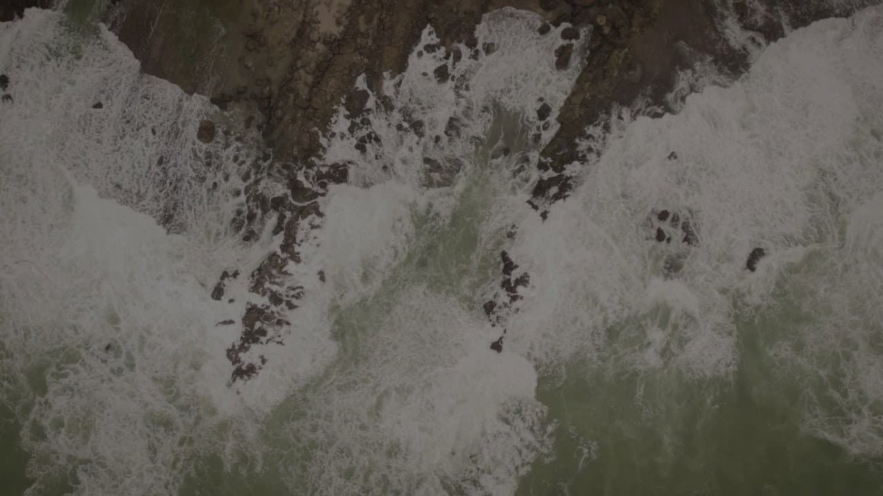 The Waves Saga