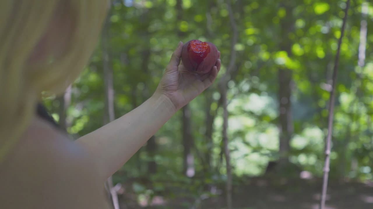 Peaches