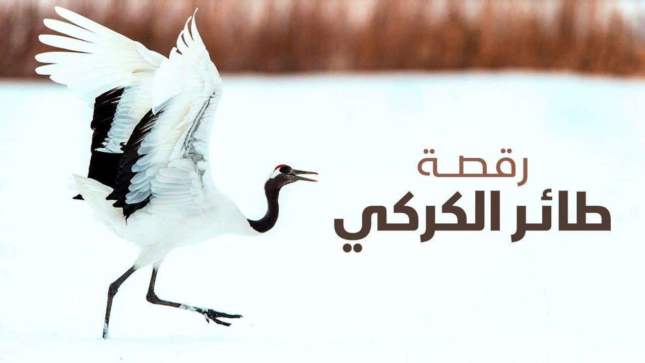 Dance Of The Crane