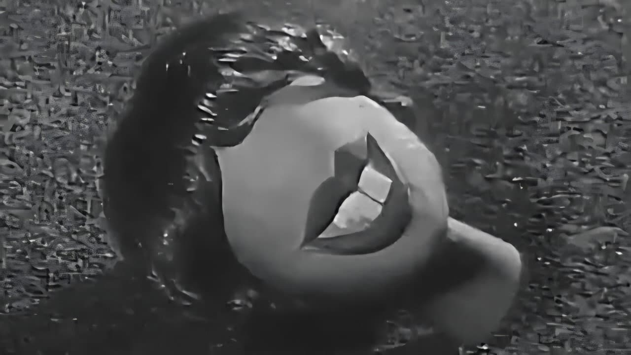 Akuma-Kun