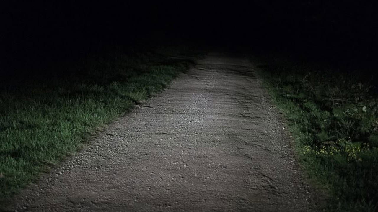 Night Land