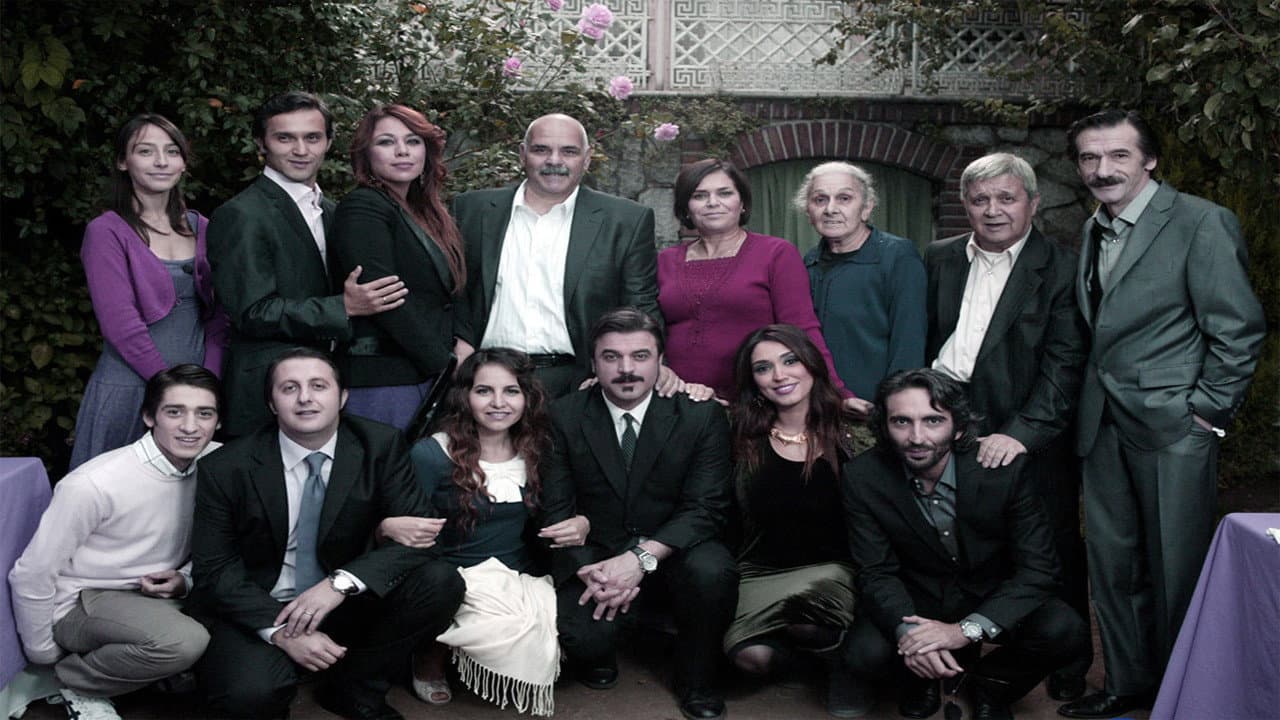 Geniş Aile [Seri]