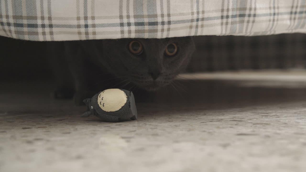 Nibbler