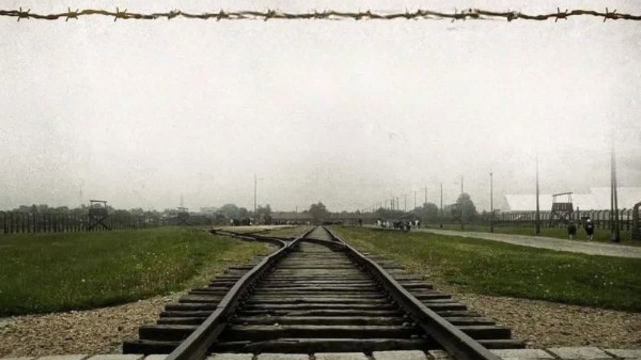 Beyond Freedom — The Life of Viktor Frankl