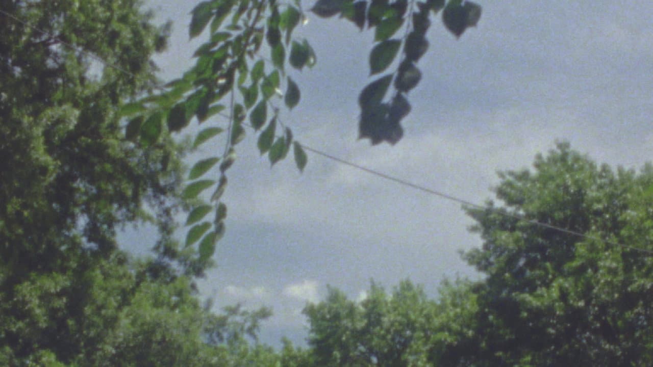 Airing