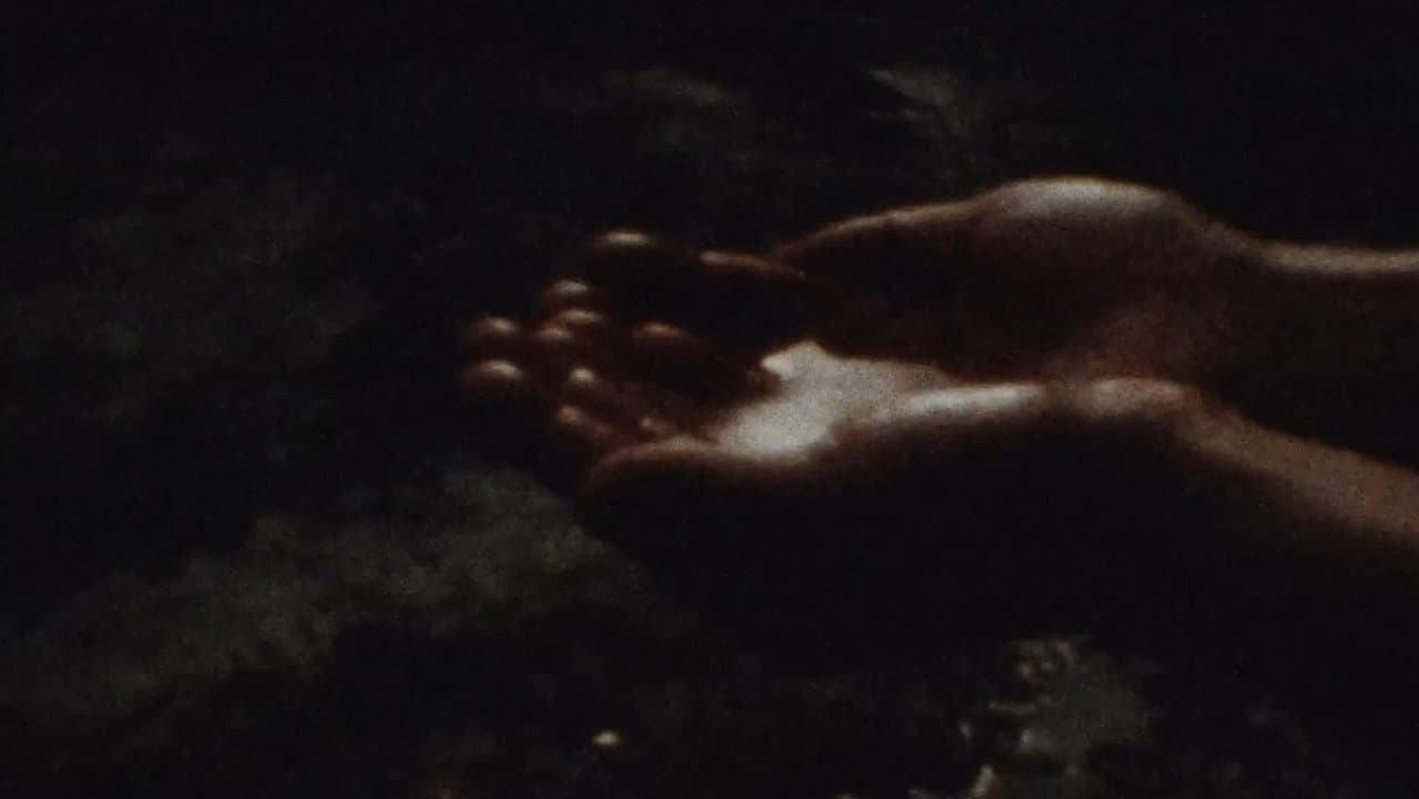 Echo
