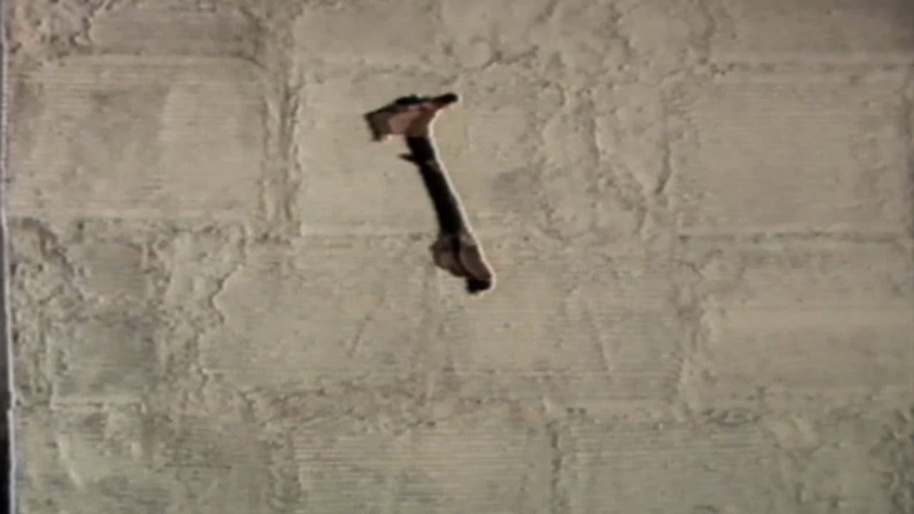 The Hammer