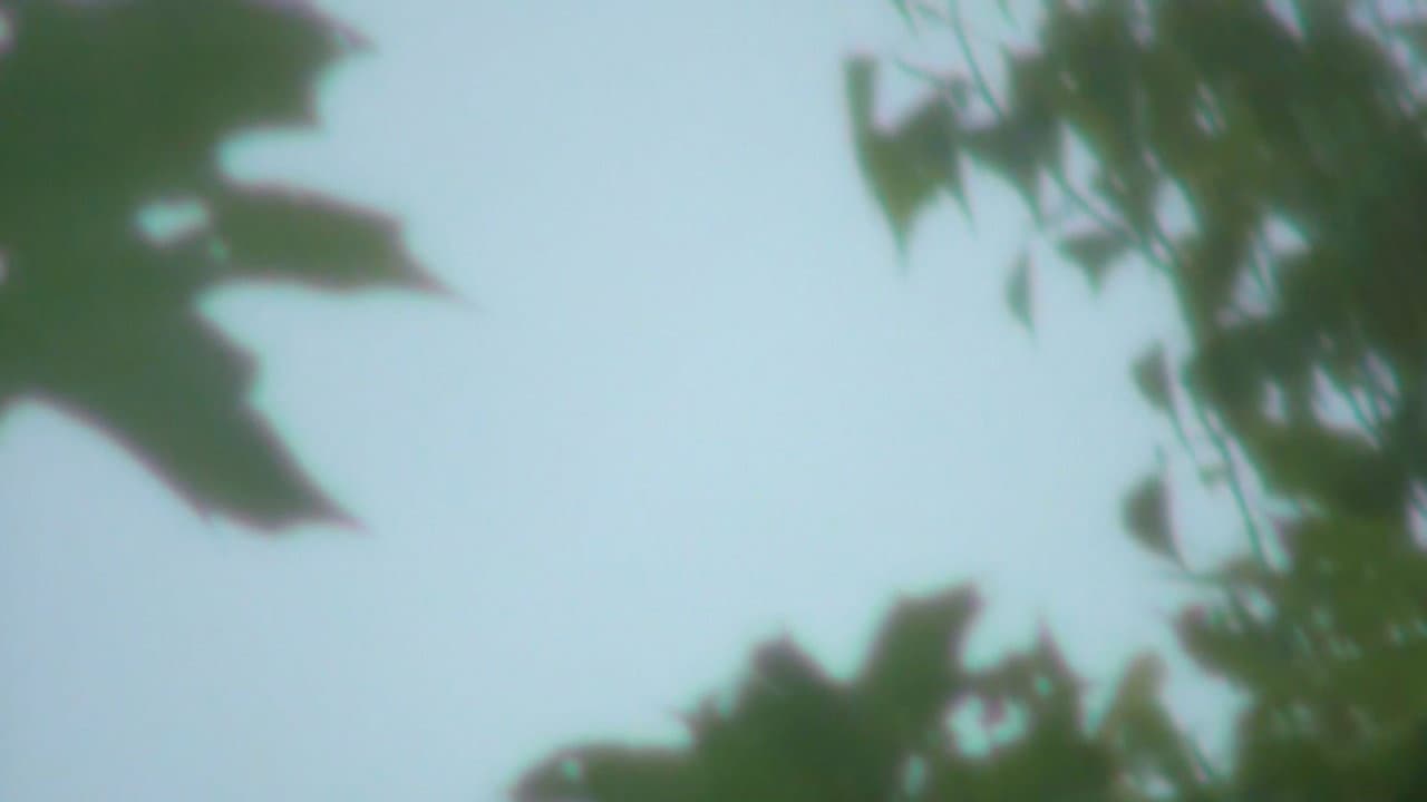 Opening Sky