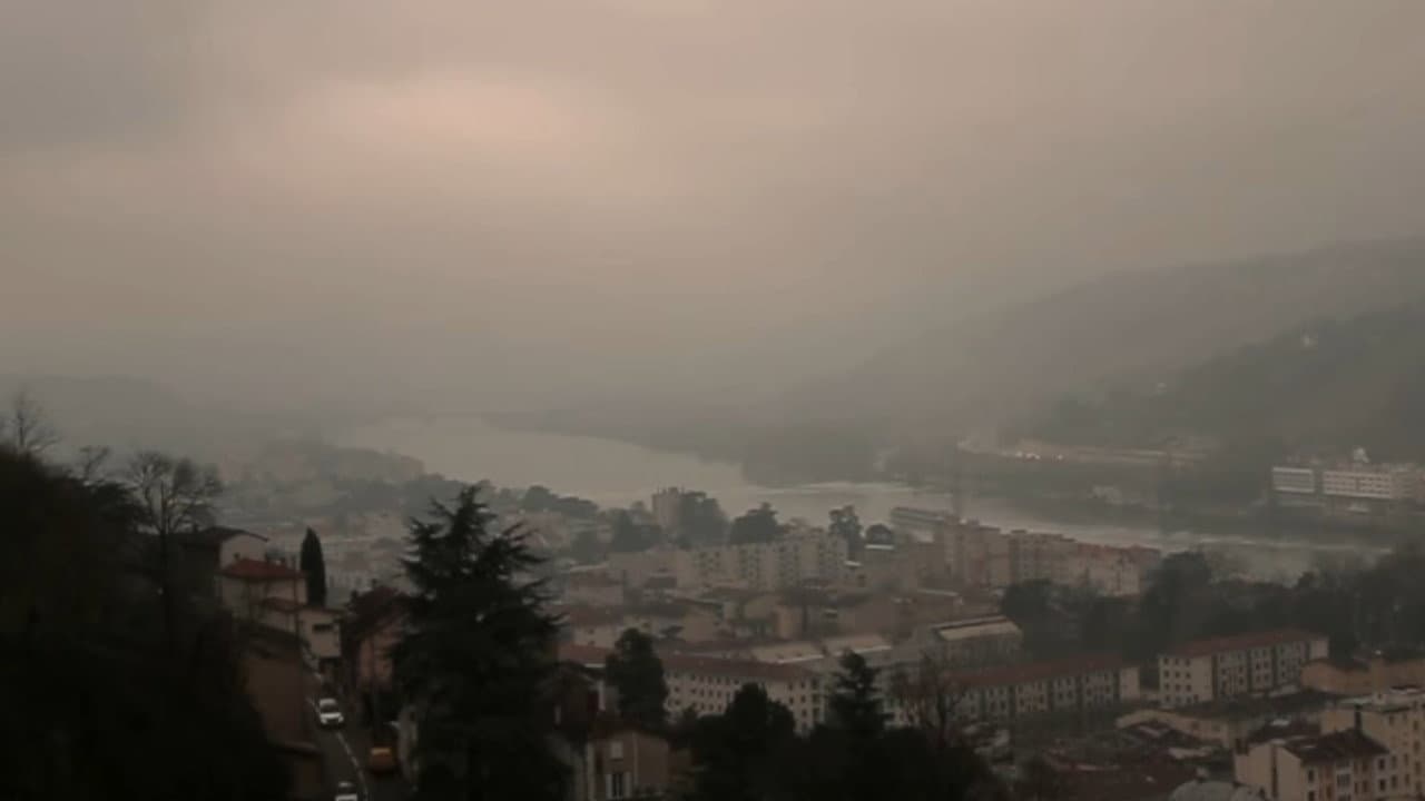 J'ai vu des oiseaux-moqueurs ricaner sous le soleil de Valence