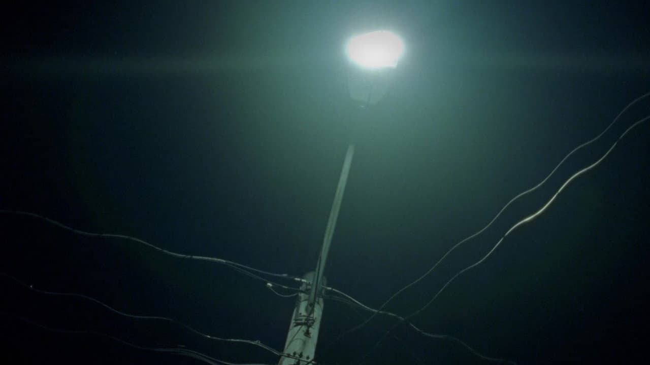The Streetlight