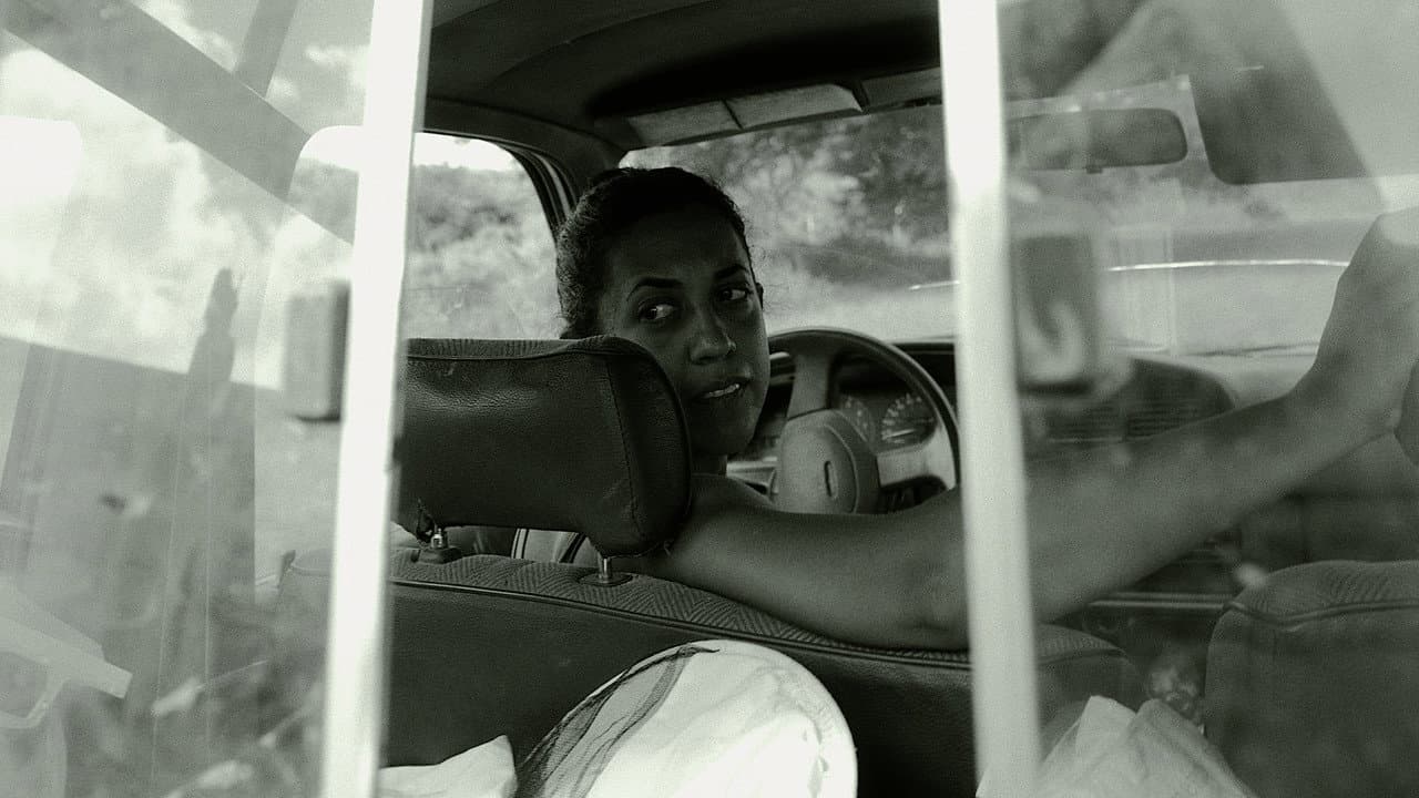 The Bee - A Reflection on Women, Land, and Occupation