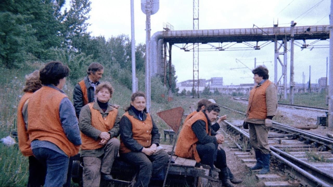 Orange Vests