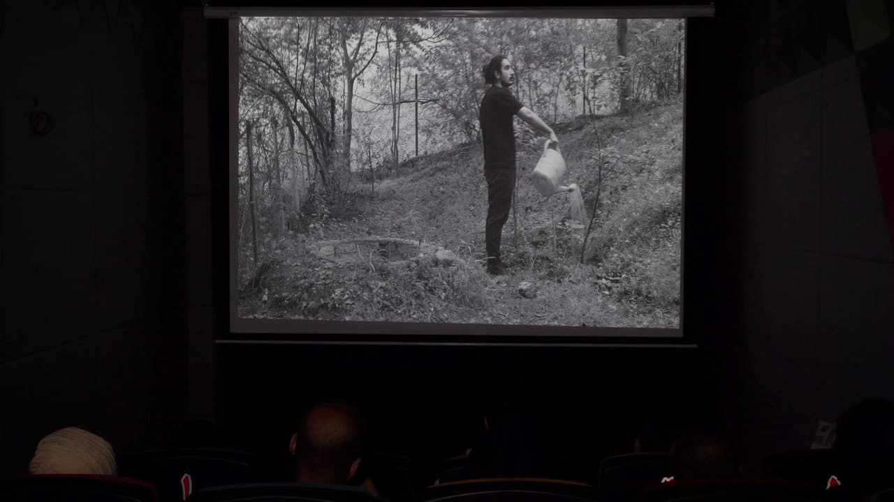 Magic in cinema