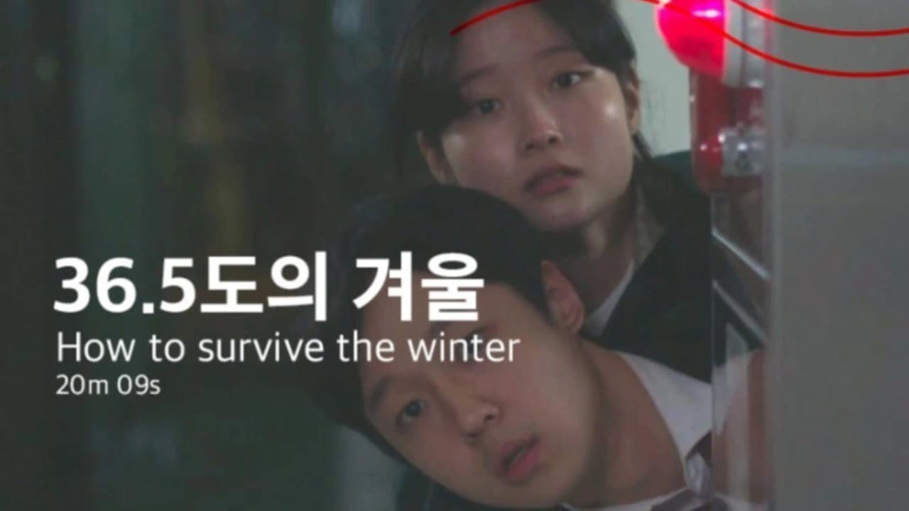 36.5도의 겨울
