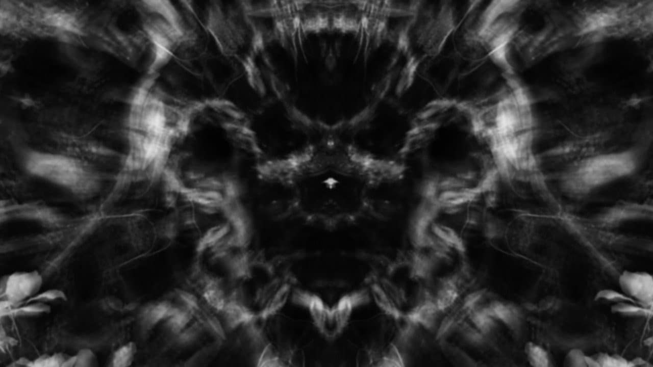 Meditations in Black and White I: Roots