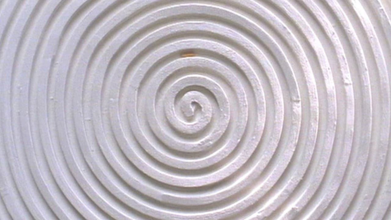A Story Constructed of 17 Pieces of Space and 1 Maggot