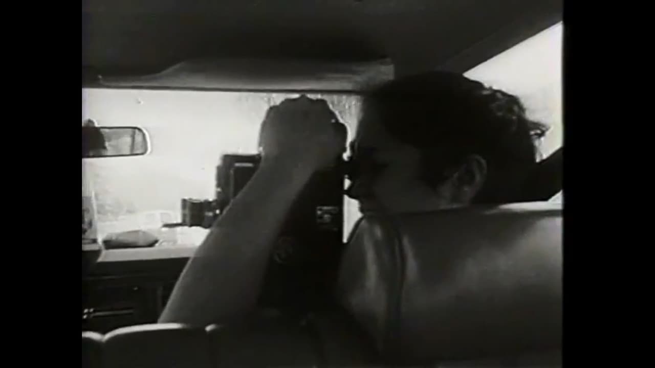 Road Movie or What I Learned in a Buick Station Wagon