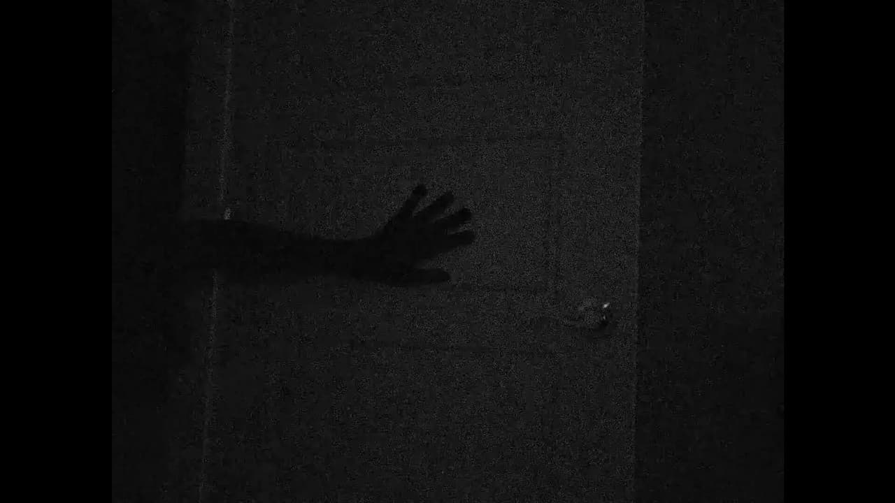 The Friend