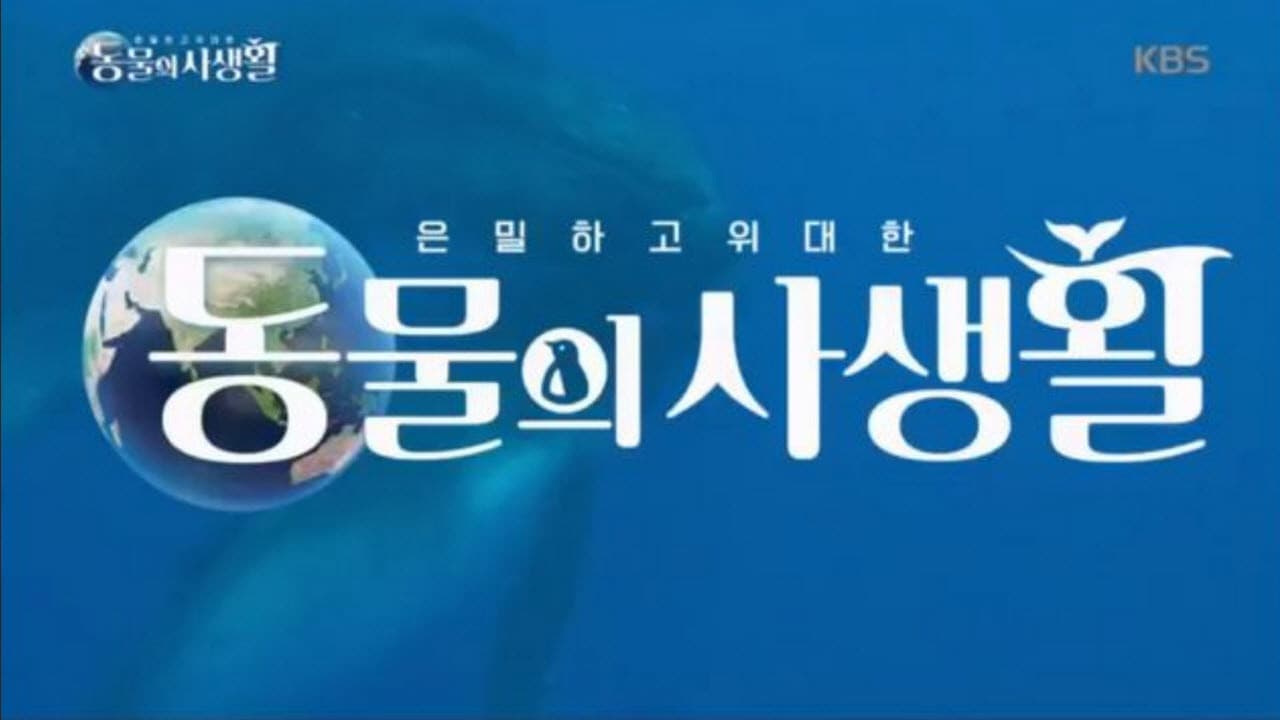 Secrets of Wildlife