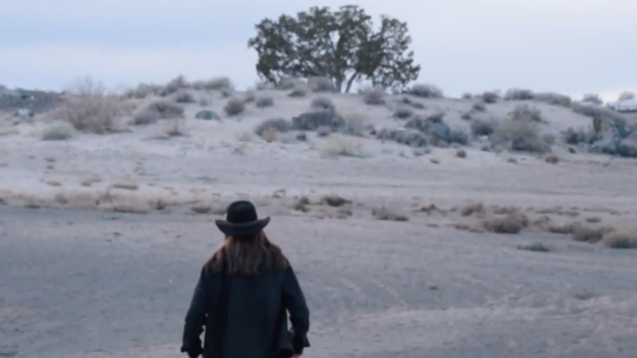 Man in the Mesa