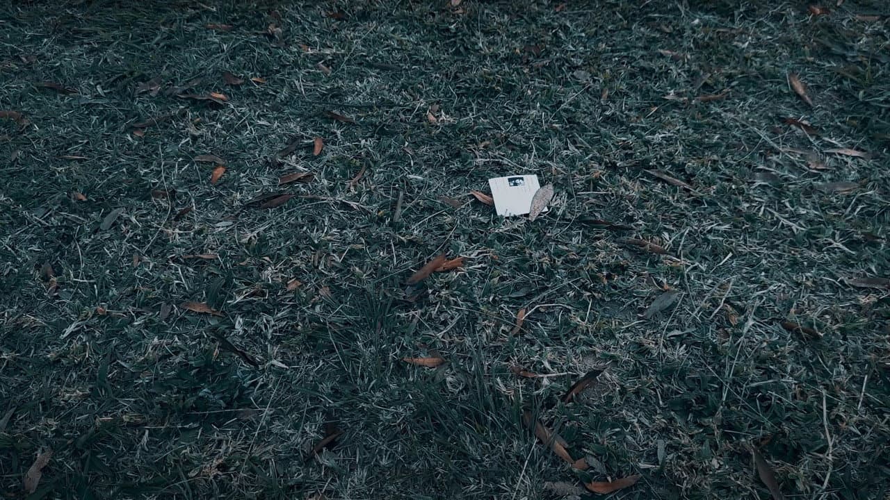 The Ticket