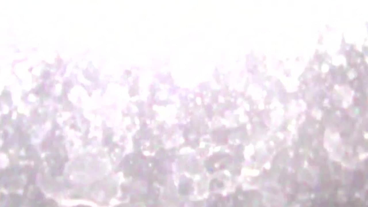 tracks