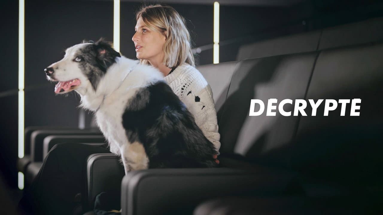 Décrypté (Ciné-Séries)