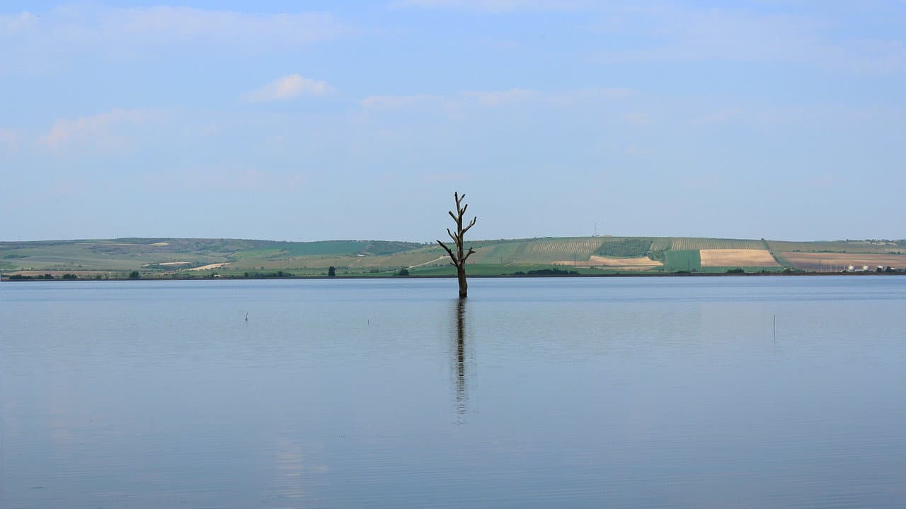 Ztracený břeh
