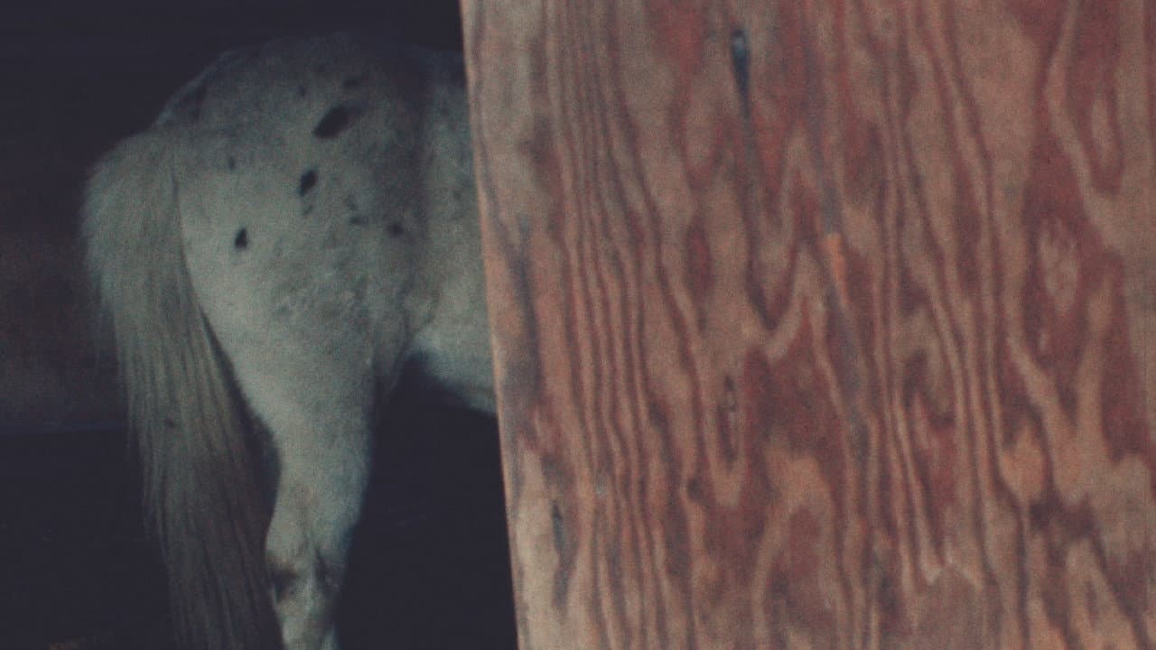 Horseflesh