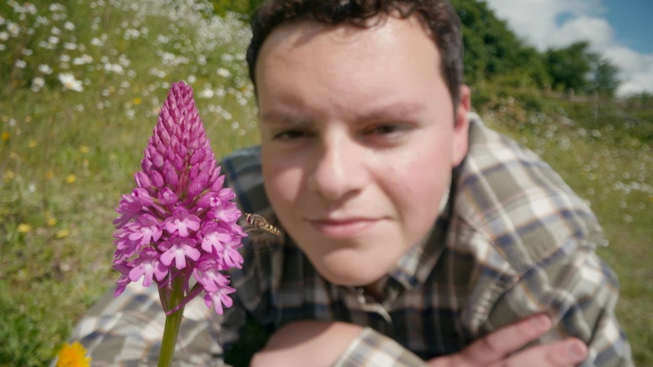 Orchids: Darwin's Conundrum