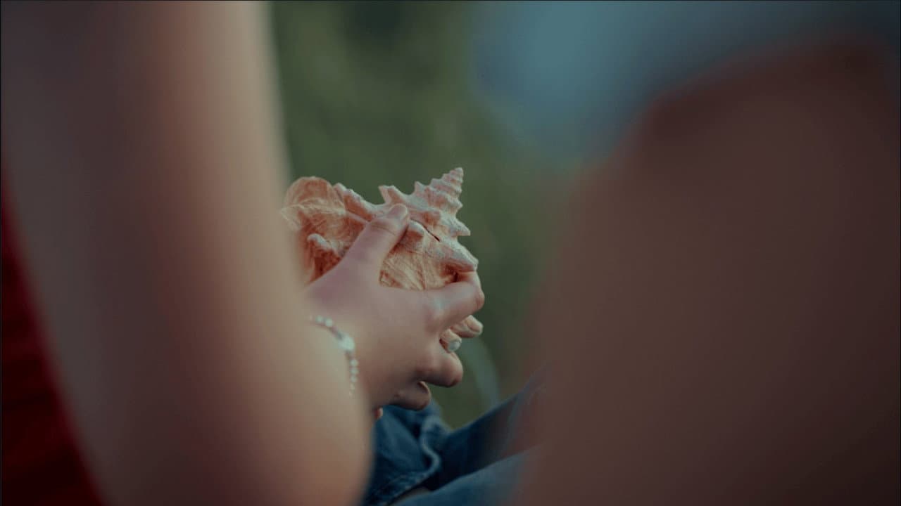Sea, Swallow Me