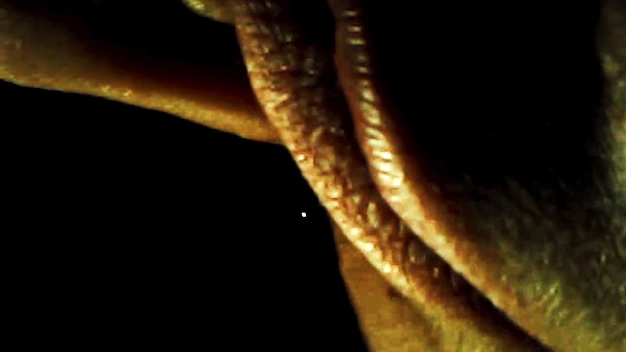 Kinetic