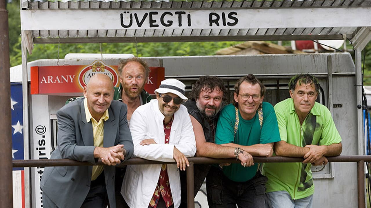 Üvegtigris collection