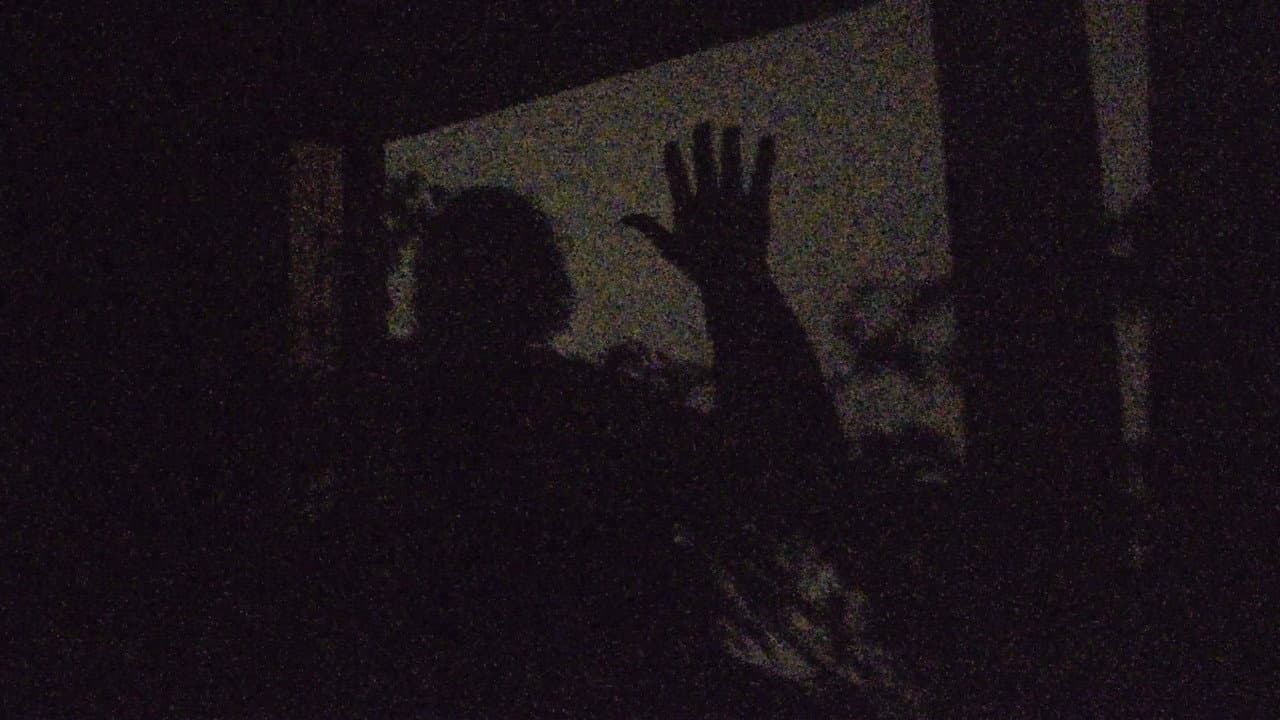 A garden of shadows