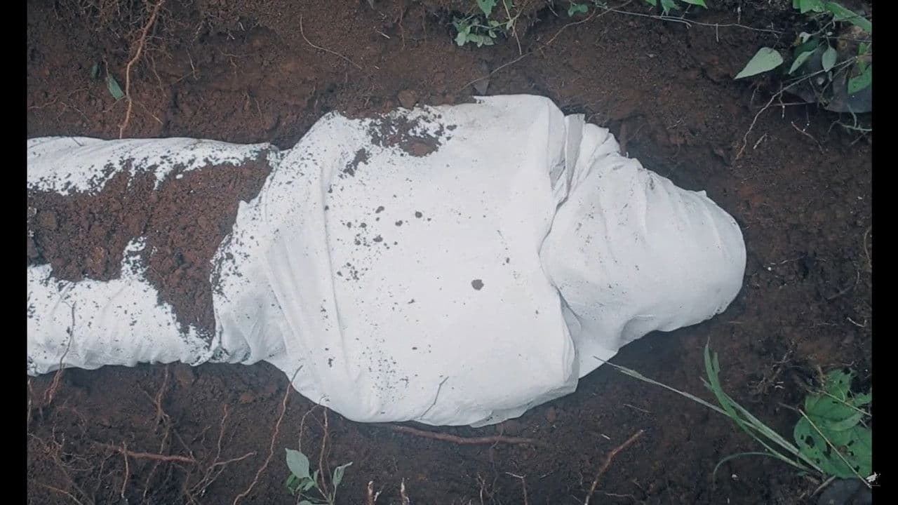 ഭൂമി