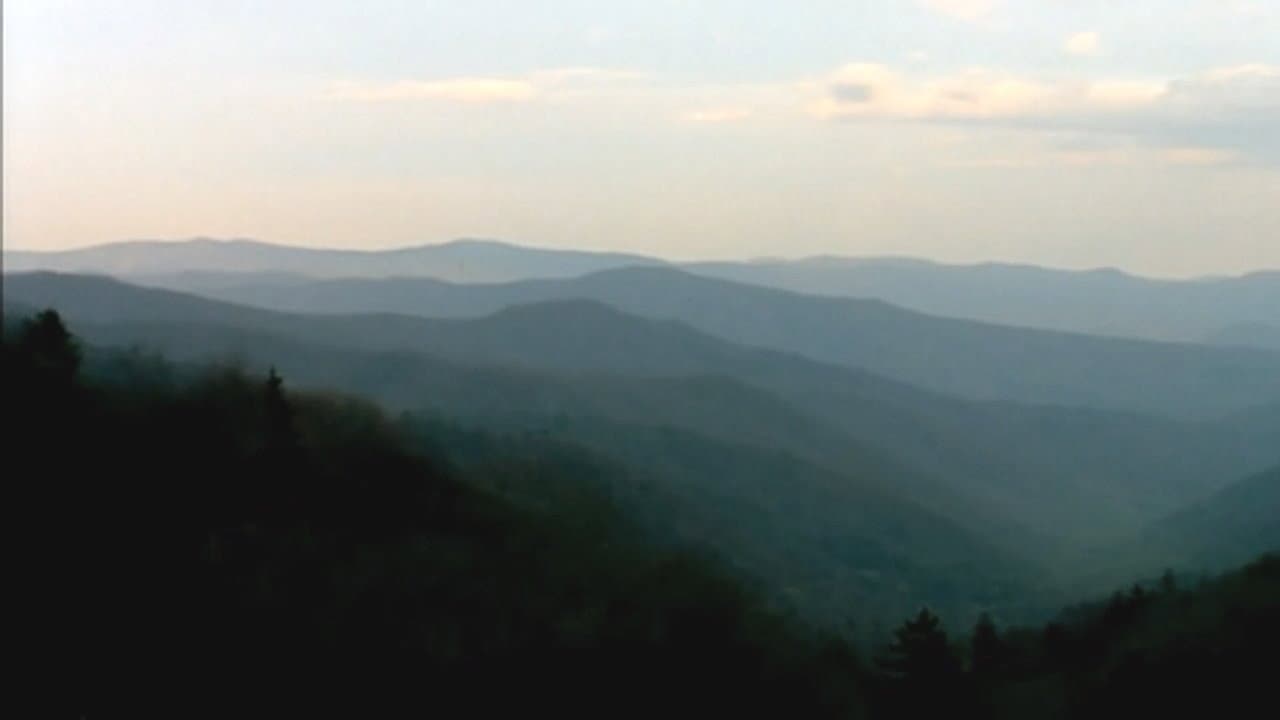 Bigfoot Witness