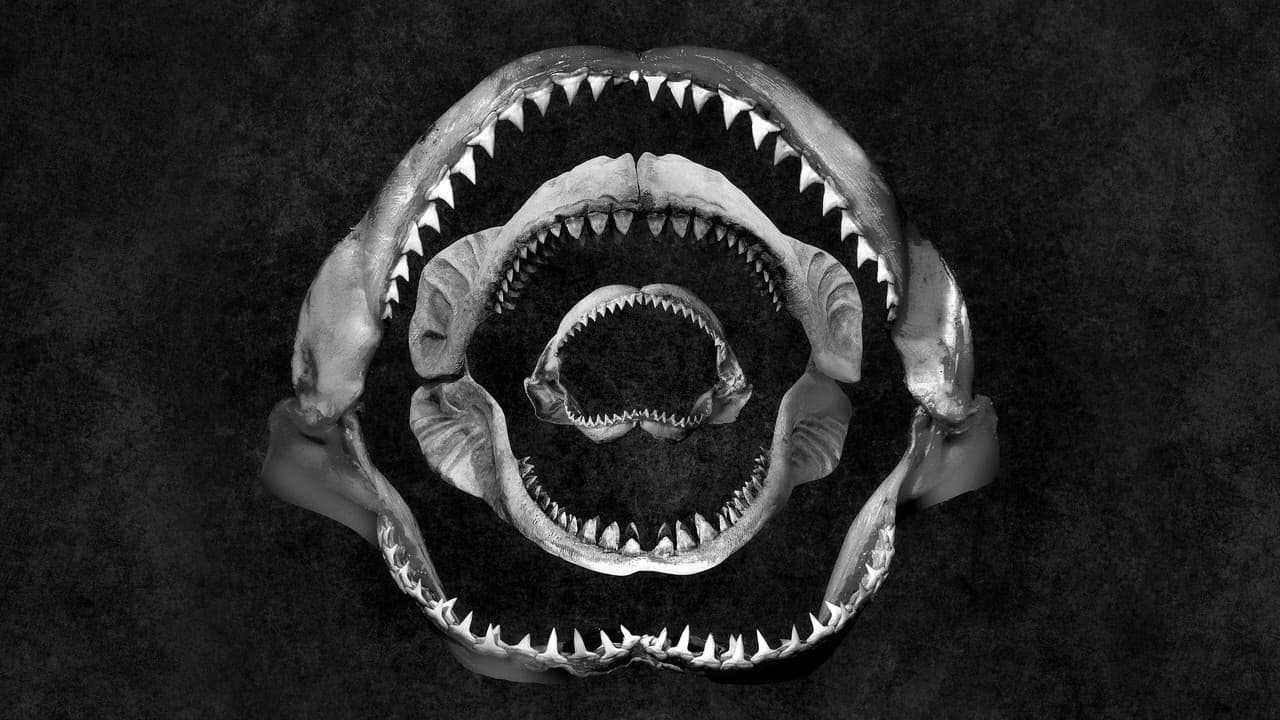 Shark Eat Shark