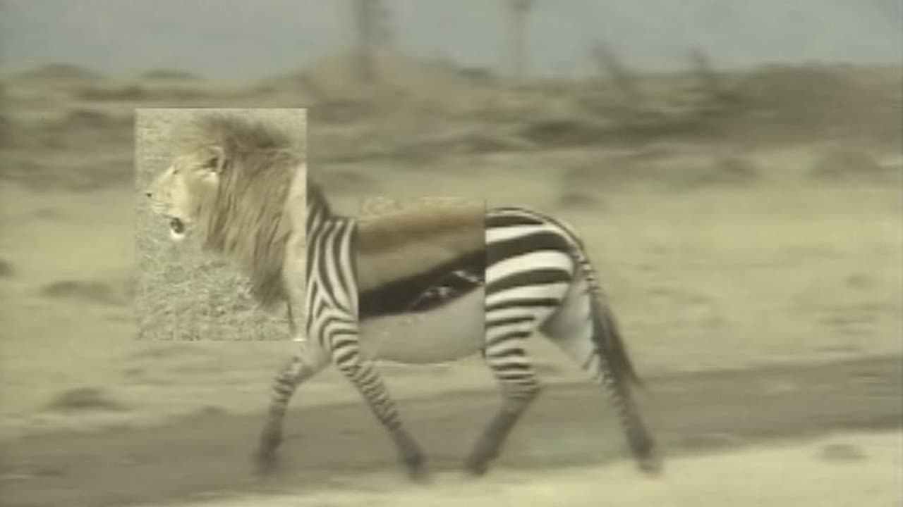 African Animal Puzzle