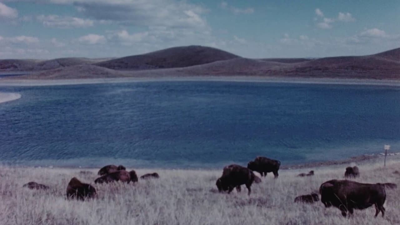 Concerto for Water, Sun and Wilderness