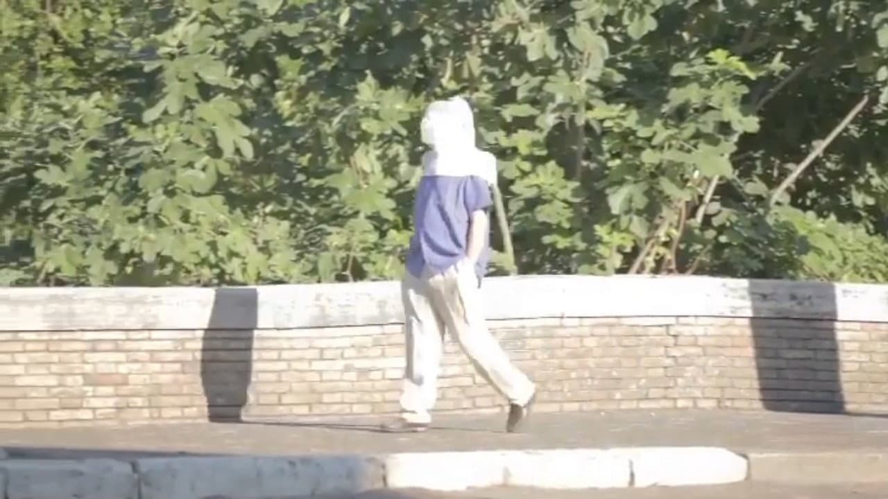 Autobiography of the Masked Man
