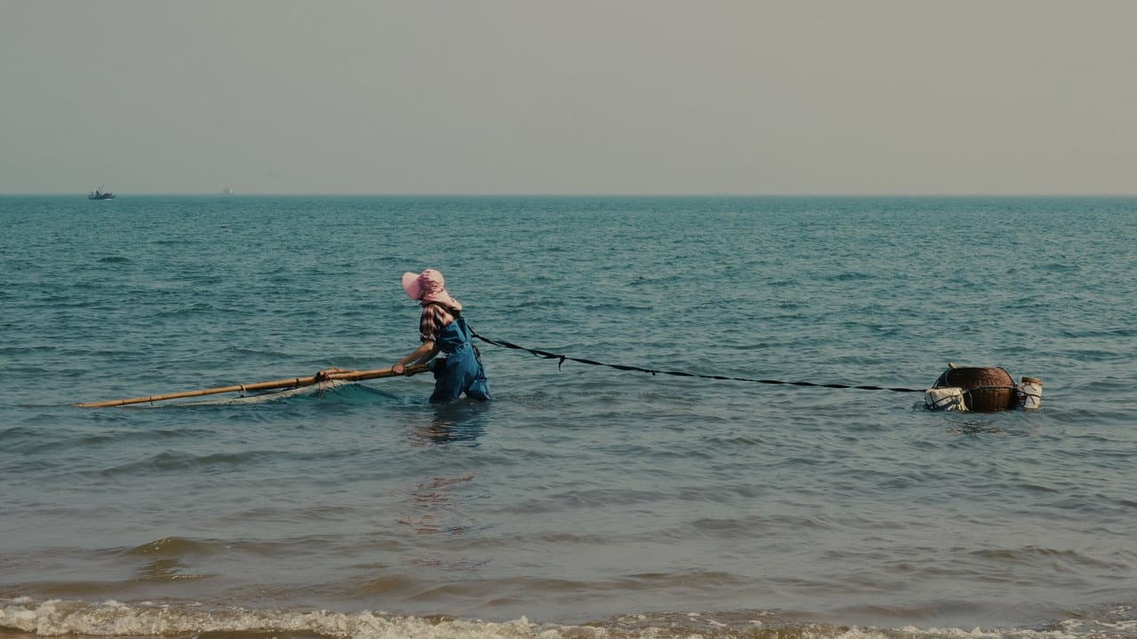 Blue Sea