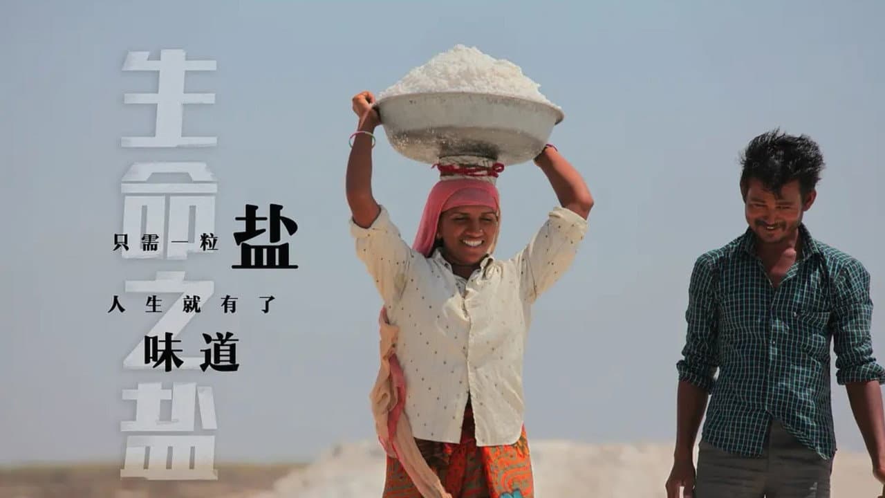 生命之盐